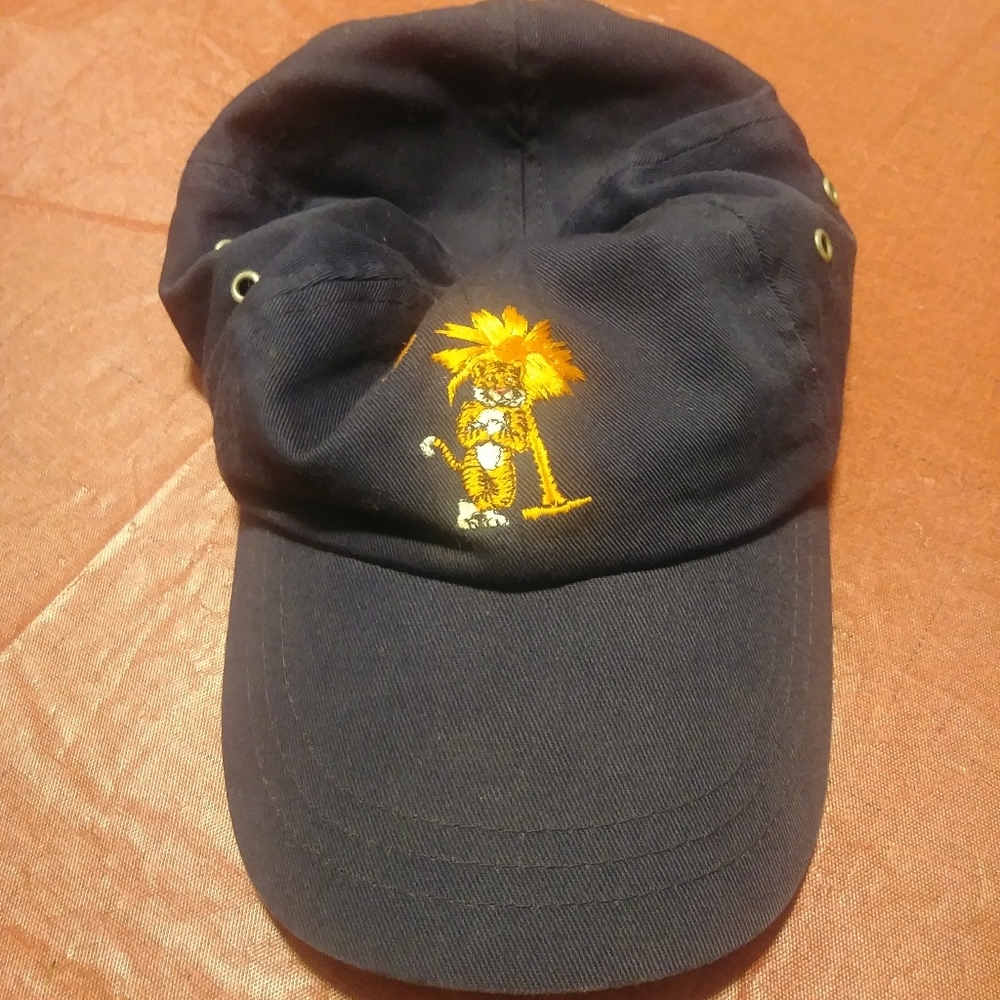 Throwback Baseball Cap (!!4/6!!)